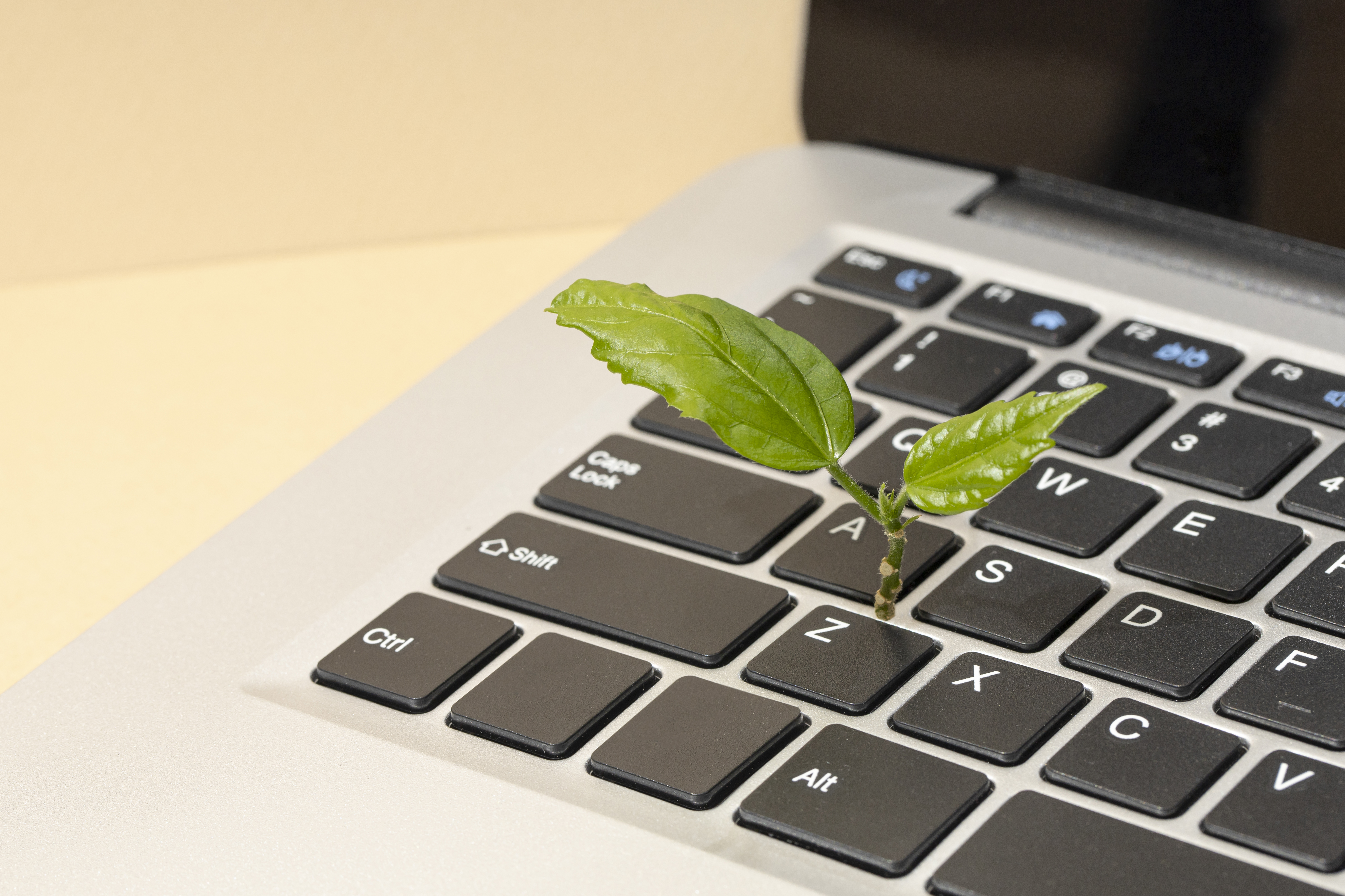 🌱 Sustainable Software Development: Building Green Tech that Lasts